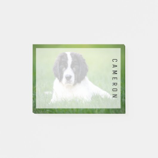 Kutest Baby Animals | Newfoundland Puppy Post-it® Notes (Voorkant)