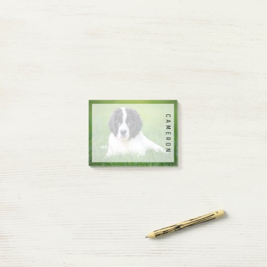 Kutest Baby Animals | Newfoundland Puppy Post-it® Notes (Op bureau)