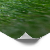 Kutest Baby Animals | Newfoundland Puppy Poster (Hoek)