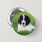 Kutest Baby Animals | Newfoundland Puppy Ronde Button 5,7 Cm (Voorkant /achterkant)