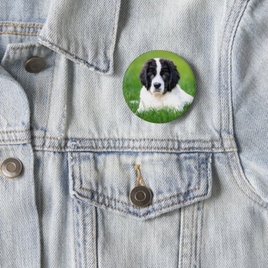 Kutest Baby Animals | Newfoundland Puppy Ronde Button 5,7 Cm (In situ)