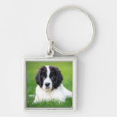 Kutest Baby Animals | Newfoundland Puppy Sleutelhanger (Voorkant)