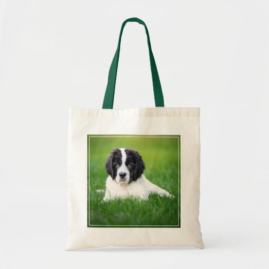 Kutest Baby Animals | Newfoundland Puppy Tote Bag (Voorkant)