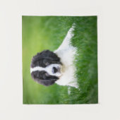 Kutest Baby Animals | Newfoundland Puppy Wandkleed (Voorkant)