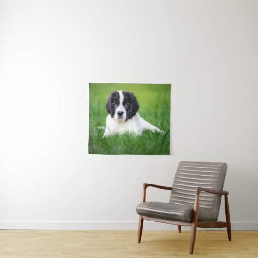 Kutest Baby Animals | Newfoundland Puppy Wandkleed (In Situ (horizontaal))