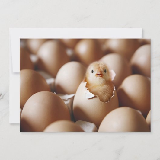 Kutest Baby Animals | Nieuwe Baby Chick Bedankkaart (Voorkant)