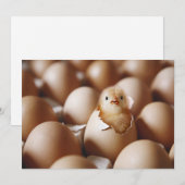 Kutest Baby Animals | Nieuwe Baby Chick Bedankkaart (Voorkant / Achterkant)