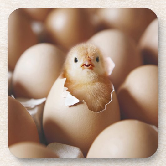 Kutest Baby Animals | Nieuwe Baby Chick Bier Onderzetter (Voorkant)