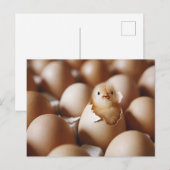 Kutest Baby Animals | Nieuwe Baby Chick Briefkaart (Voorkant / Achterkant)