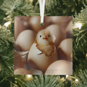 Kutest Baby Animals   Nieuwe Baby Chick Glas Ornament