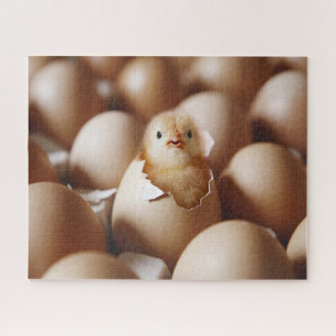 Kutest Baby Animals   Nieuwe Baby Chick Legpuzzel