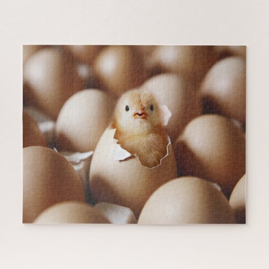 Kutest Baby Animals | Nieuwe Baby Chick Legpuzzel (Horizontaal)