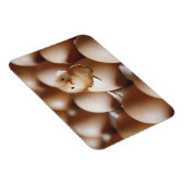 Kutest Baby Animals | Nieuwe Baby Chick Magneet (Rechterzijde)