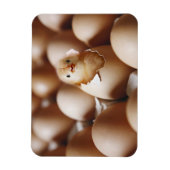 Kutest Baby Animals | Nieuwe Baby Chick Magneet (Verticaal)