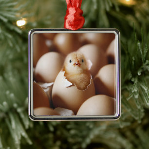 Kutest Baby Animals   Nieuwe Baby Chick Metalen Ornament