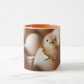 Kutest Baby Animals | Nieuwe Baby Chick Mok (Midden)