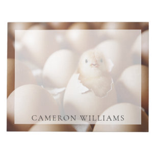 Kutest Baby Animals   Nieuwe Baby Chick Notitieblok