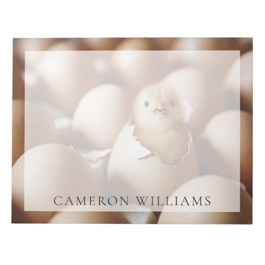 Kutest Baby Animals | Nieuwe Baby Chick Notitieblok (Voorkant)