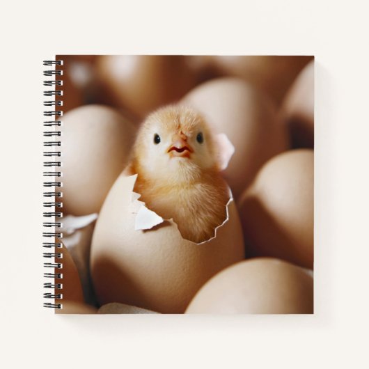 Kutest Baby Animals | Nieuwe Baby Chick Notitieboek (Voorkant)
