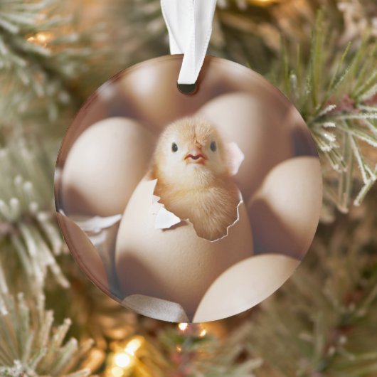 Kutest Baby Animals | Nieuwe Baby Chick Ornament (Boom)