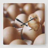 Kutest Baby Animals | Nieuwe Baby Chick Vierkante Klok (Voorkant)