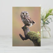 Kutest Baby Animals | Noordelijke Saw Whet Owl Bedankkaart (Staand voorkant)
