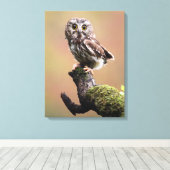 Kutest Baby Animals | Noordelijke Saw Whet Owl Canvas Afdruk (Insitu (Houten vloer))