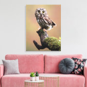 Kutest Baby Animals | Noordelijke Saw Whet Owl Canvas Afdruk (Insitu (Woonkamer))