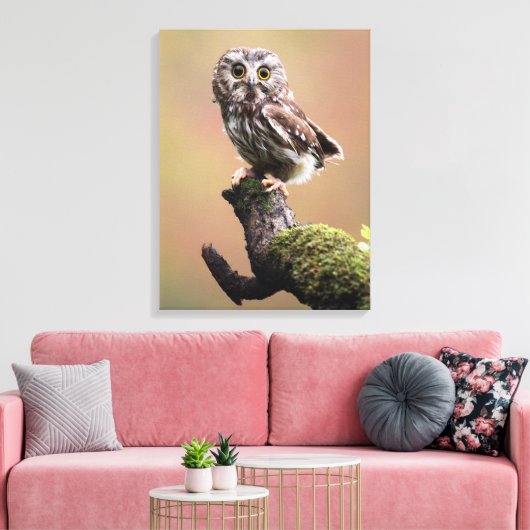 Kutest Baby Animals | Noordelijke Saw Whet Owl Canvas Afdruk (Insitu (Woonkamer))
