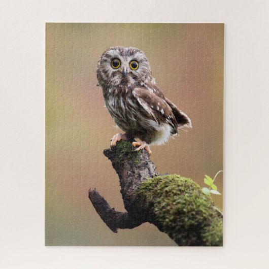 Kutest Baby Animals | Noordelijke Saw Whet Owl Legpuzzel (Verticaal)