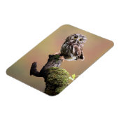 Kutest Baby Animals | Noordelijke Saw Whet Owl Magneet (Linkerzijde)