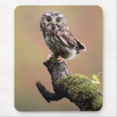 Kutest Baby Animals | Noordelijke Saw Whet Owl Muismat (Voorkant)