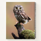 Kutest Baby Animals | Noordelijke Saw Whet Owl Notitieboek (Achterkant)