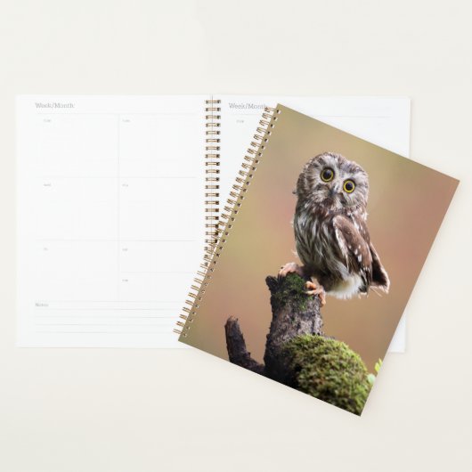 Kutest Baby Animals | Noordelijke Saw Whet Owl Planner (Display)
