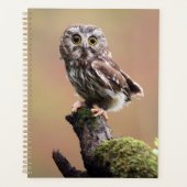 Kutest Baby Animals | Noordelijke Saw Whet Owl Planner (Voorkant)