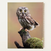 Kutest Baby Animals | Noordelijke Saw Whet Owl Planner (Achterkant)