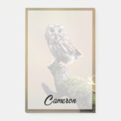 Kutest Baby Animals | Noordelijke Saw Whet Owl Post-it® Notes (Voorkant)