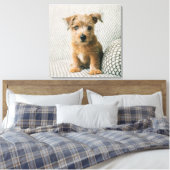 Kutest Baby Animals | Norfolk Terrier Puppy Canvas Afdruk (Insitu (Slaapkamer))