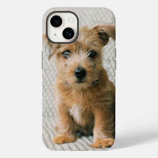 Kutest Baby Animals | Norfolk Terrier Puppy Case-Mate iPhone Case (Achterkant)