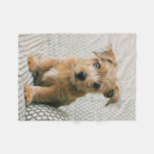 Kutest Baby Animals | Norfolk Terrier Puppy Fleece Deken (Voorkant (Horizontaal))
