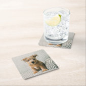 Kutest Baby Animals | Norfolk Terrier Puppy Kartonnen Onderzetters (Insitu)