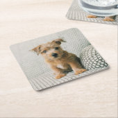 Kutest Baby Animals | Norfolk Terrier Puppy Kartonnen Onderzetters (Schuin)