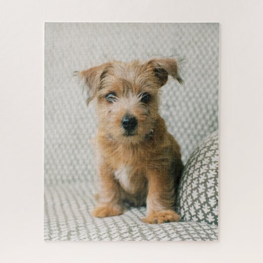 Kutest Baby Animals | Norfolk Terrier Puppy Legpuzzel (Verticaal)