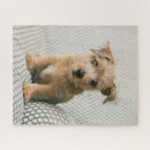 Kutest Baby Animals | Norfolk Terrier Puppy Legpuzzel (Horizontaal)