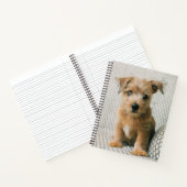 Kutest Baby Animals | Norfolk Terrier Puppy Notitieboek (Binnen)