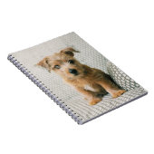 Kutest Baby Animals | Norfolk Terrier Puppy Notitieboek (Rechterzijde)