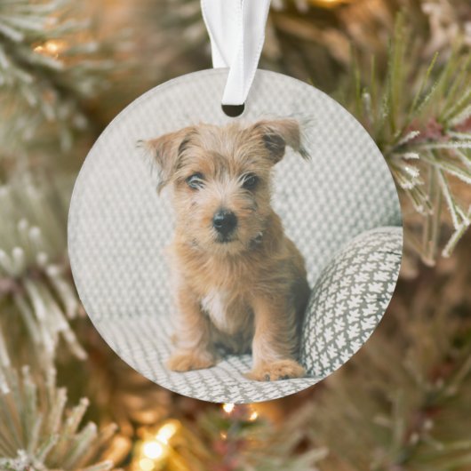 Kutest Baby Animals | Norfolk Terrier Puppy Ornament (Boom)