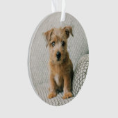 Kutest Baby Animals | Norfolk Terrier Puppy Ornament (voorkant)