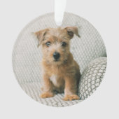 Kutest Baby Animals | Norfolk Terrier Puppy Ornament (voorkant)