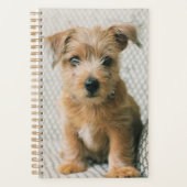 Kutest Baby Animals | Norfolk Terrier Puppy Planner (Voorkant)